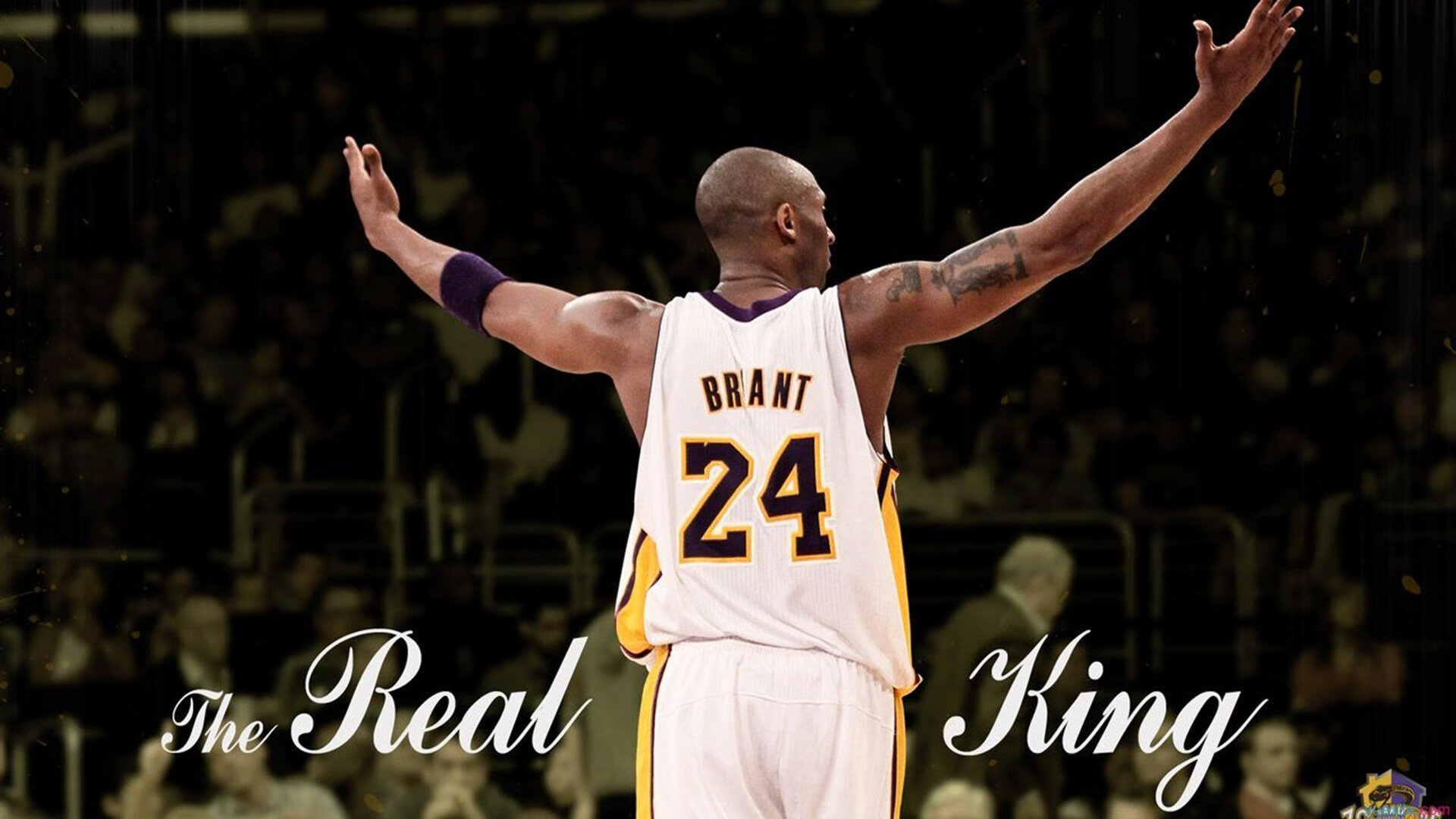 乌鸦那波配合太流畅了,四分卫节奏完美,乌鸦5=几