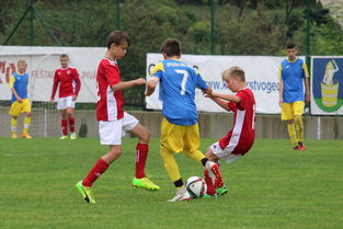 中国篮球教练职称制度的建立与运行机制，篮球教练员等级划分